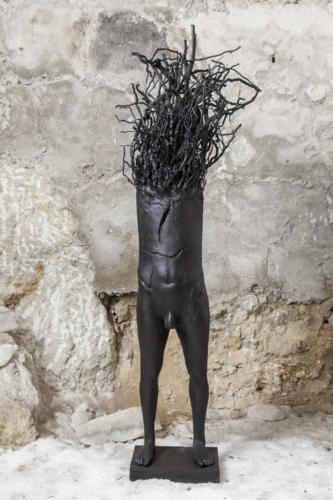Metamorfosi